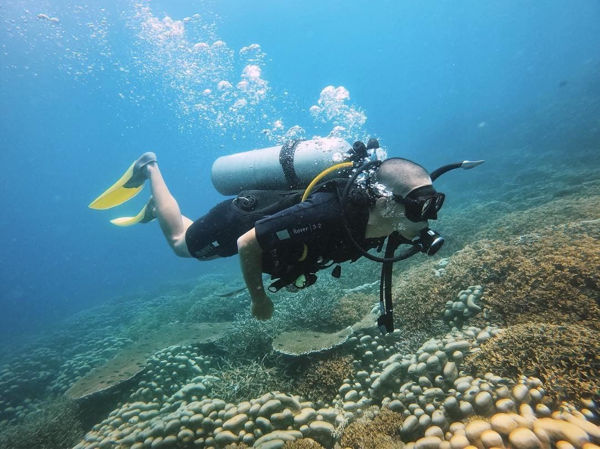 Diving Package from Paya Beach Resort