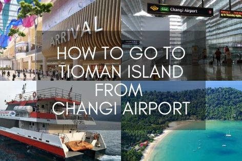 How To Go To Tioman Island From Changi Airport