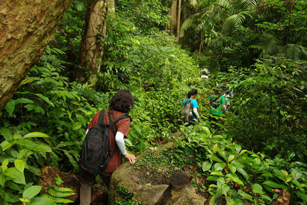 Jungle trekking at Tioman Island
