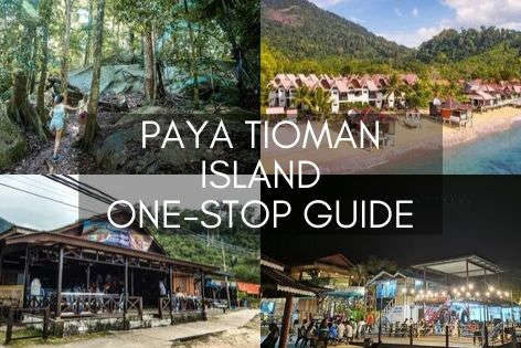 Paya Tioman Island