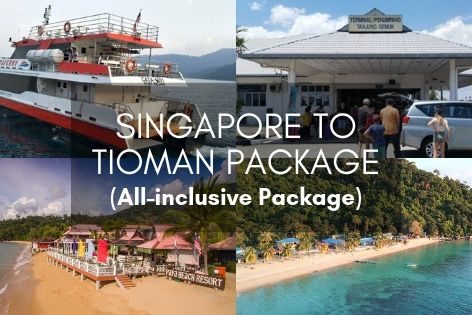 Singapore To Tioman Package