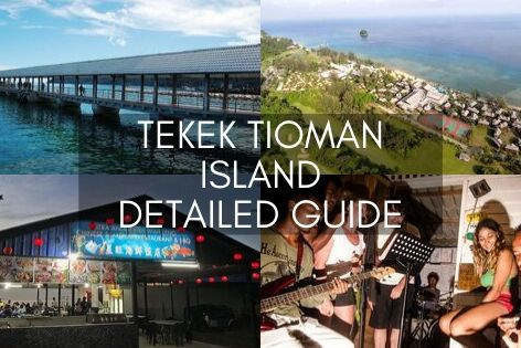 Tekek Tioman Island