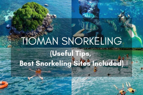 Tioman Snorkeling Guide